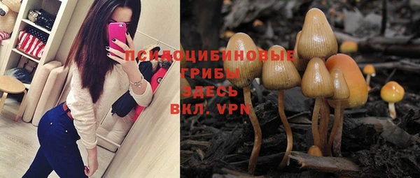 не бодяженный Богородск