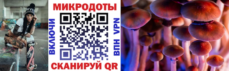 Купить где  Ликино-Дулёво  Галлюциногенные грибы MAGIC MUSHROOMS 